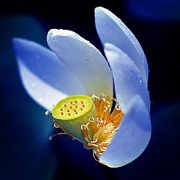 2月2日《高达：进化》第三季新增海伯里安高达